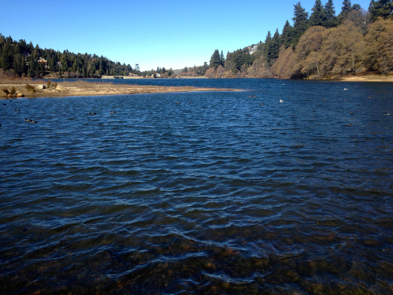 Lake Gregory Regional Park