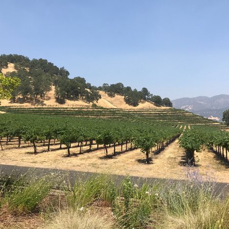 Nelson Family Vineyards