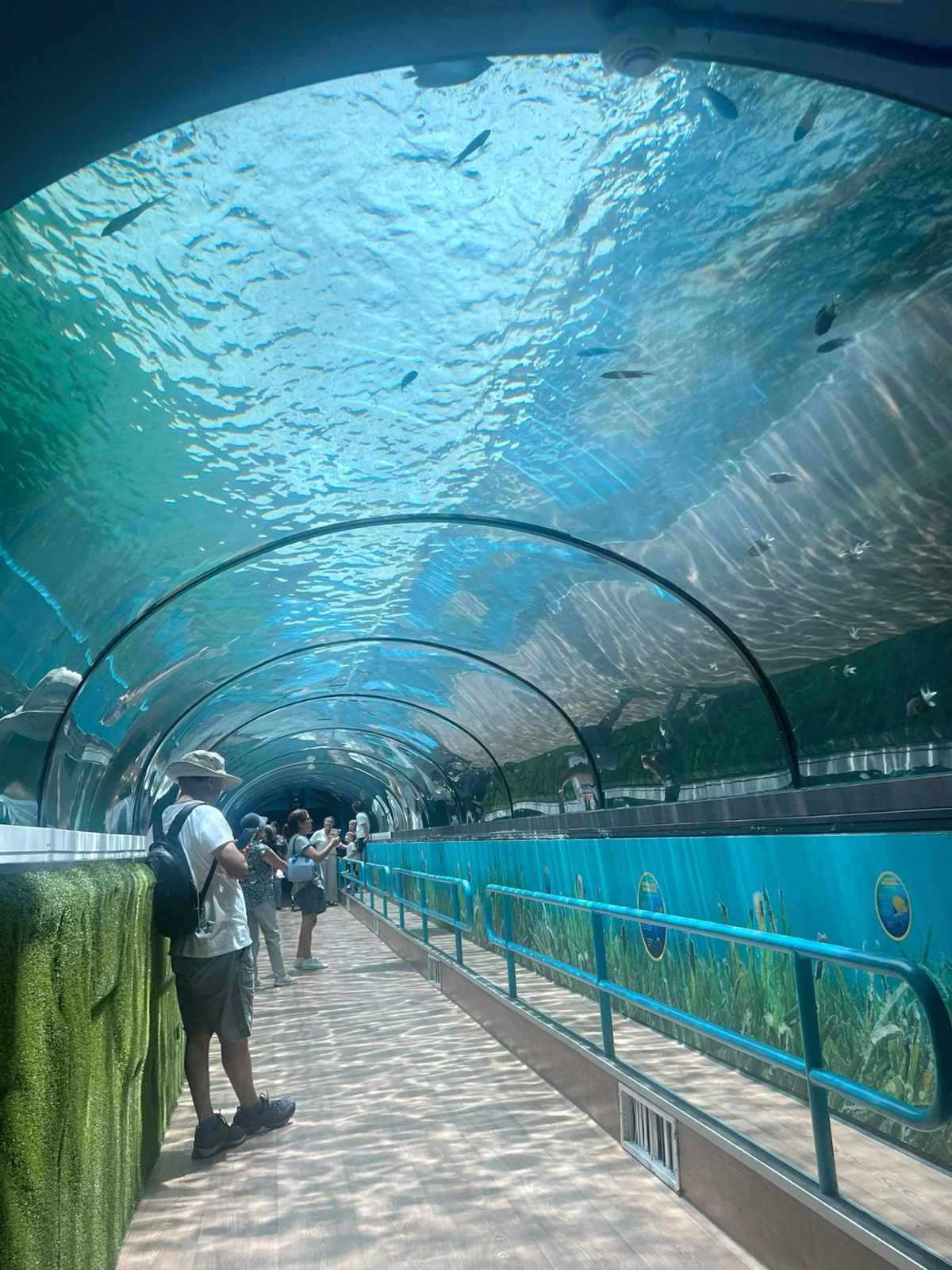 Sea Life Sydney Aquarium