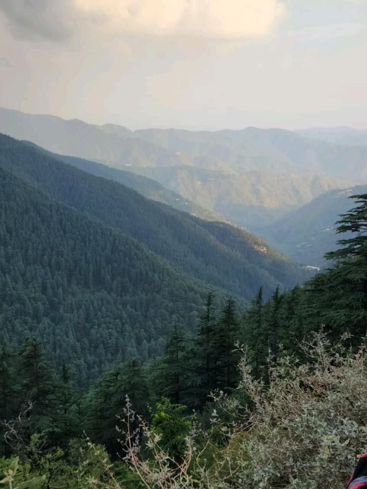Green Valley