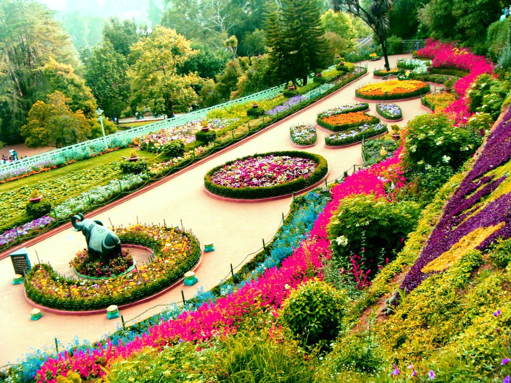 Chandigarh Rose Garden