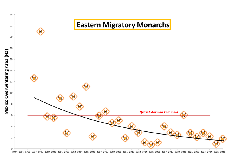Eastern Monarch Count 2026 Center for Biological Diversity