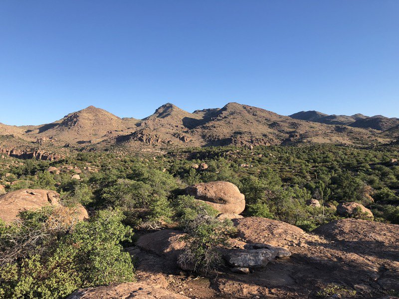 Hundreds of Groups Urge Biden to Protect Oak Flat, Reject Environmental Analysis - Vimarsana News