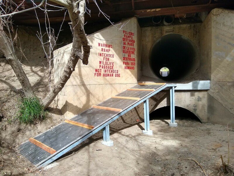 RSA culvert under Route 118 retrofitted for wildlife useNPS-scr