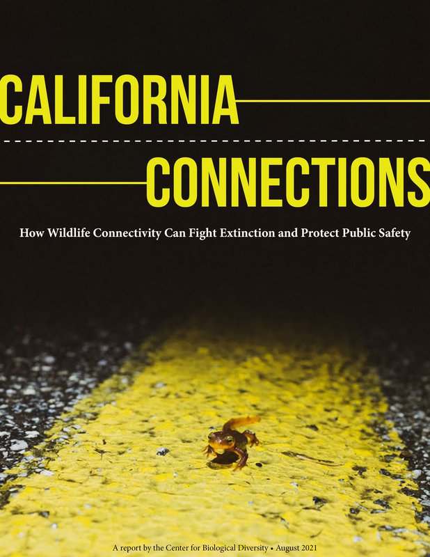 California Connections