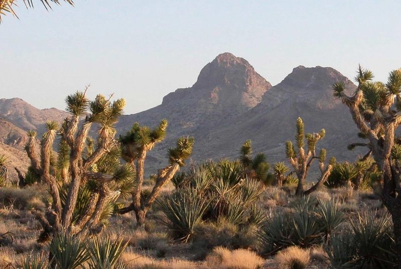 Castle Mountains National Monument