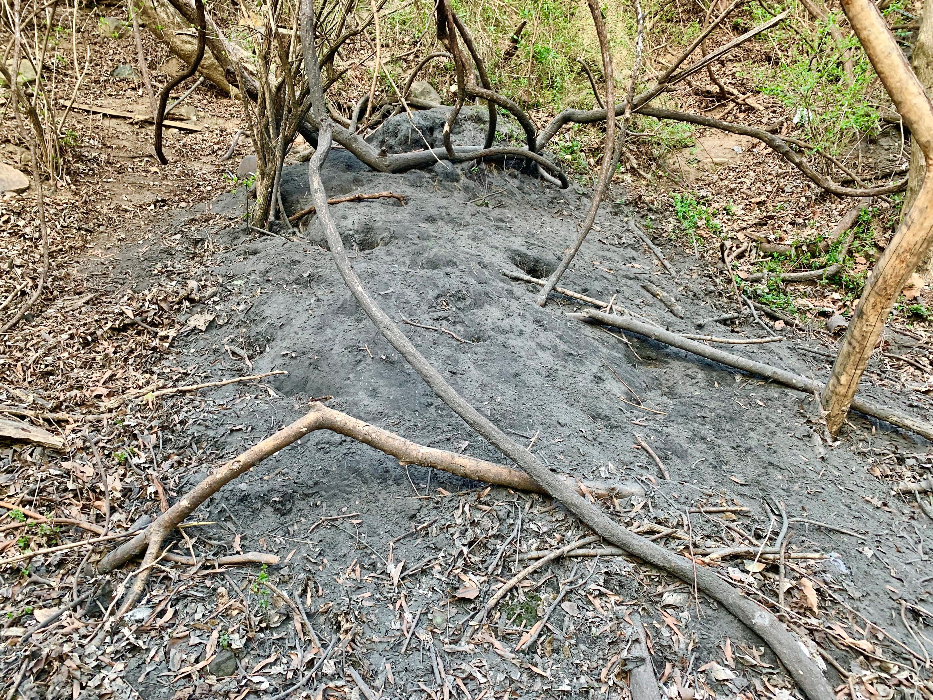 EPA Pressed to Add Chapel Hill Coal Ash Dump to Superfund List - Vimarsana News