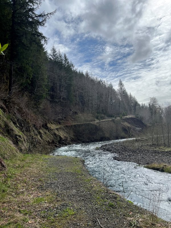 RSCook Creek Road_Meg Townsend_Center