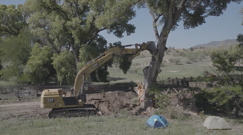 Cottonwood destruction in Lochiel, Arizona.