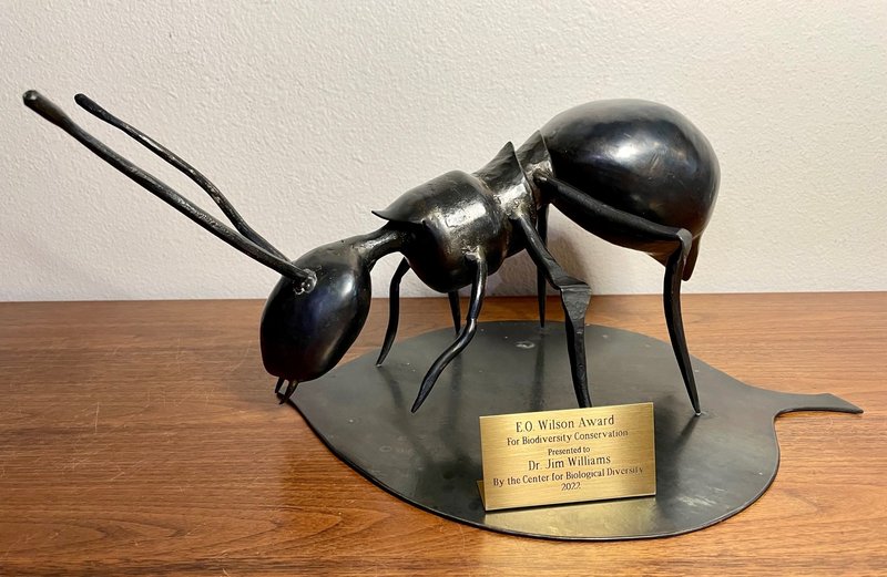 RSEO_Wilson_Award_Center_FPWC