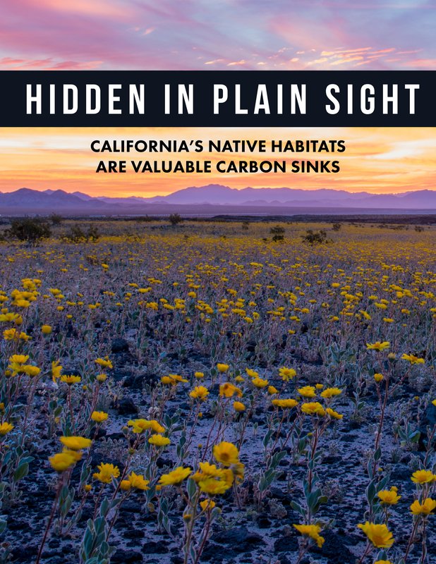 RSHidden in Plain Sight - Report Cover - 2023-hpr