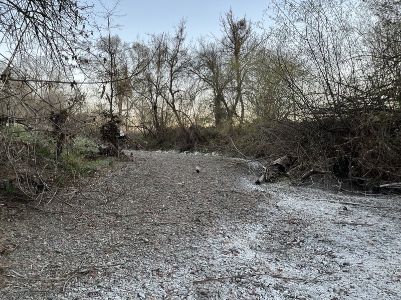 RSKelsey_Creek_Clear_Lake_Hitch_Meg_Townsend_Center_FPWC