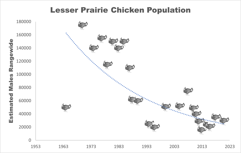 RSLesser-Prairie-Chicken-Tierra-Curry-Center