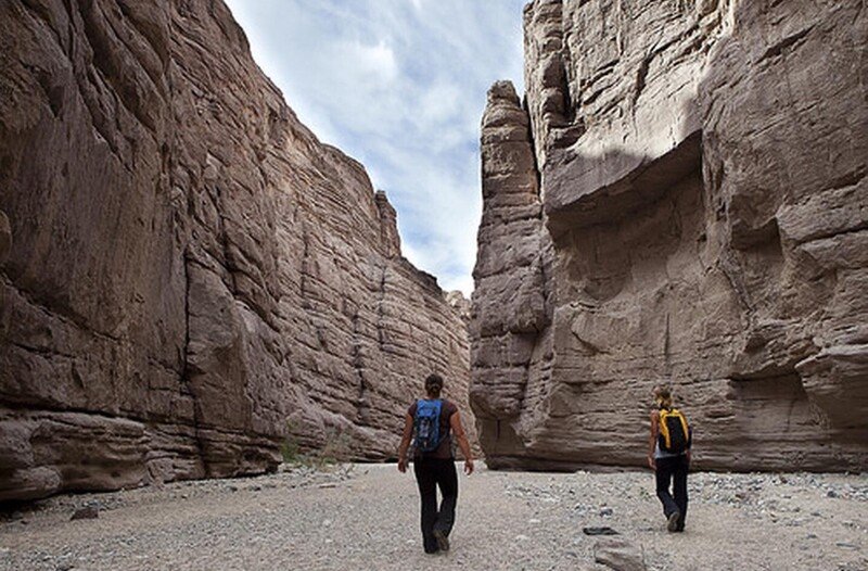 Biden Urged to Establish New California National Monument, Expand Joshua Tree National Park - Vimarsana News