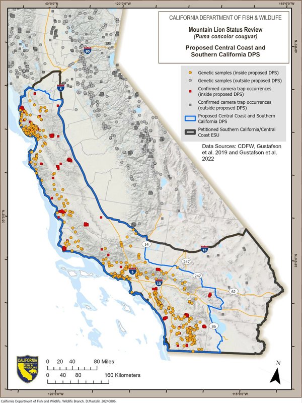 RSMountain-Lion-Status-Review-CDFW-FPWC_hpr