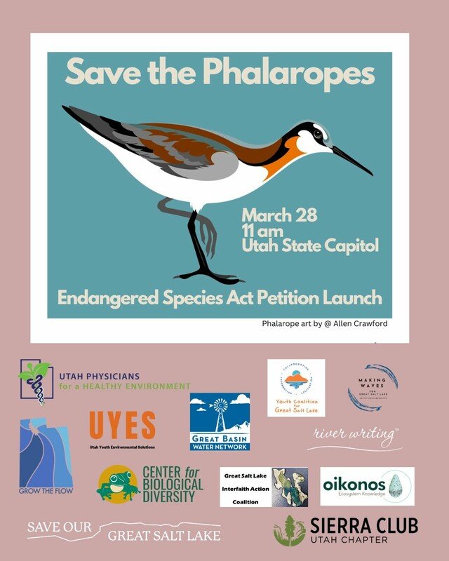 RSPhalarope petition-scr