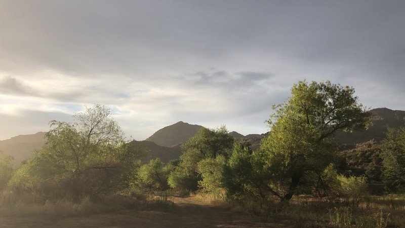 House Bill Introduced to Save Sacred Oak Flat, in Arizona, From Massive Copper Mine - Vimarsana News