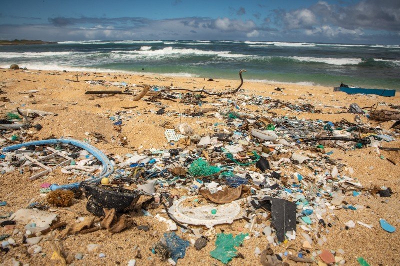 Plastic on a beach in Hawai`i