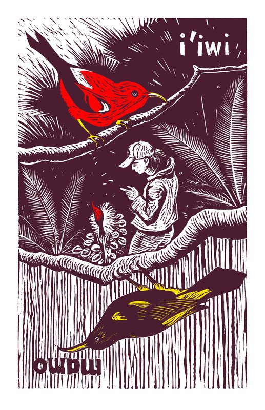 RSProtectors_iiwi_Fernando Marti