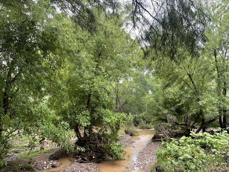 Queen Creek