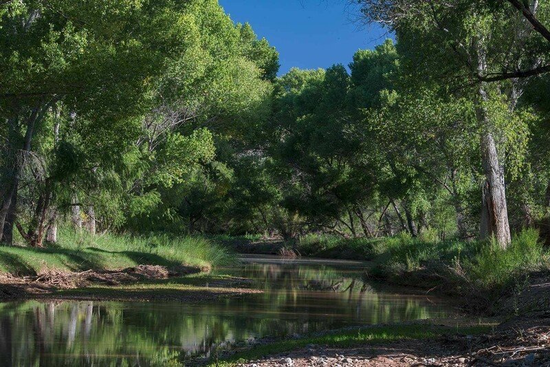 San Pedro River in Summer