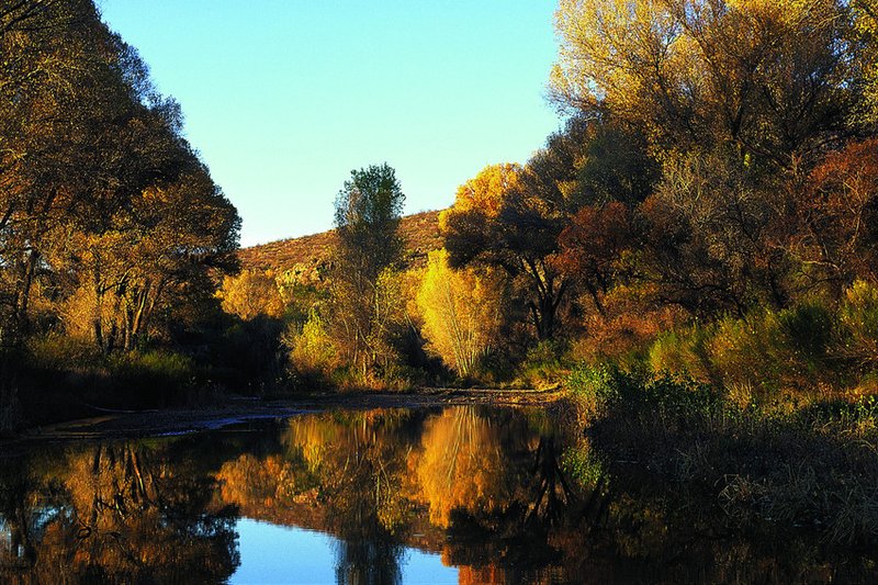San Pedro River