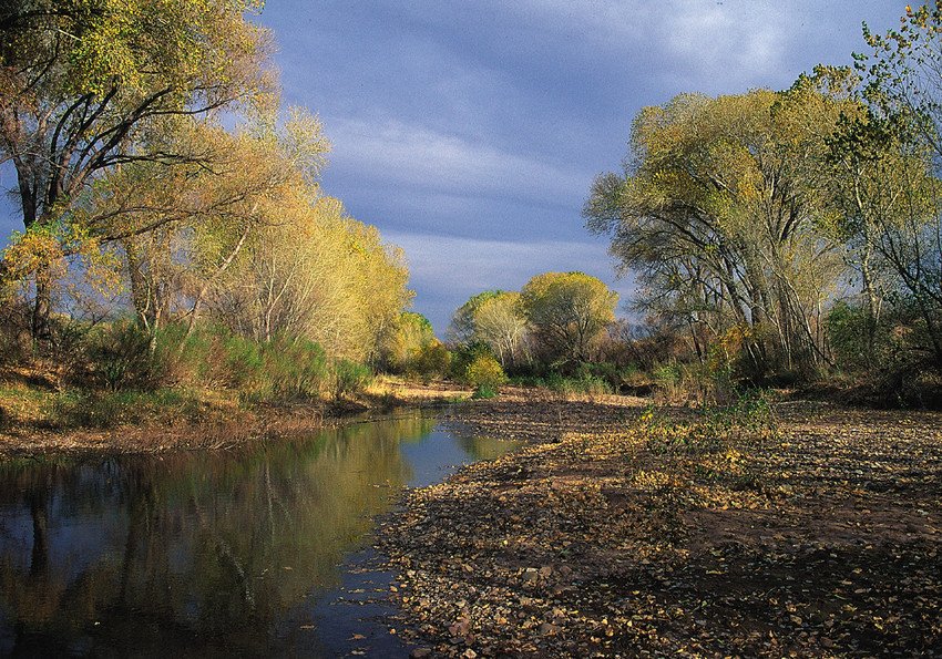 Petition Seeks Groundwater Protections for Arizona's Upper San Pedro Basin - Center for Biological Diversity - Vimarsana News