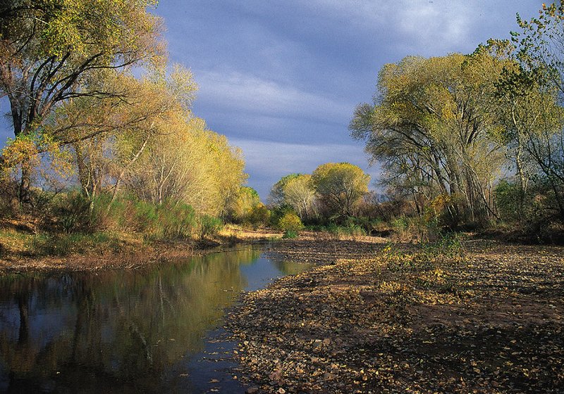 San Pedro River