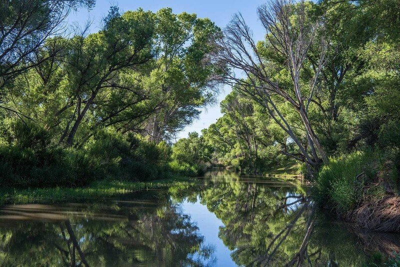 RSSan_Pedro_River_Robin_Silver_FPWC-scr