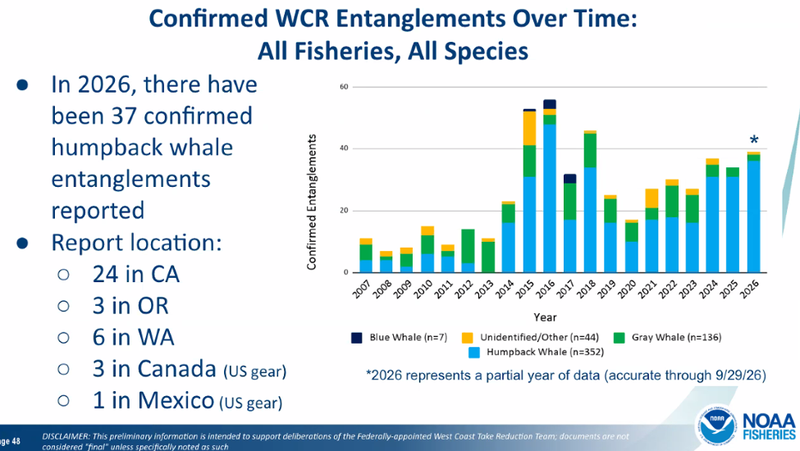 West Coast whale entanglements over time chart from NOAA