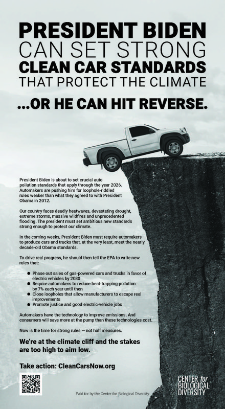 Safe_Climate_Ad_NYT_20210728.jpg
