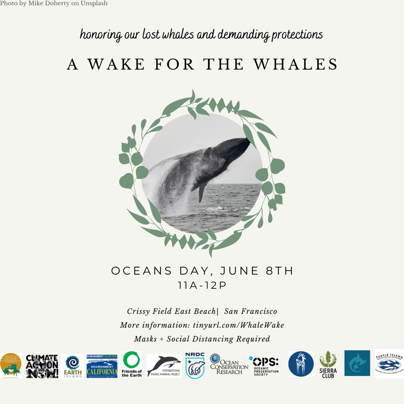 Wake for the Whales (1).png