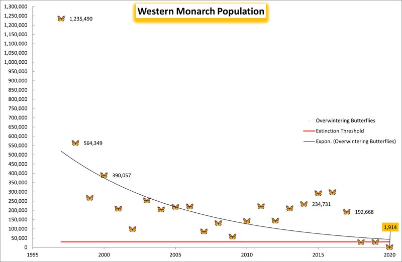 Western_Monarch_Population_2021_Center_FPWC-hpr-march-17.jpg