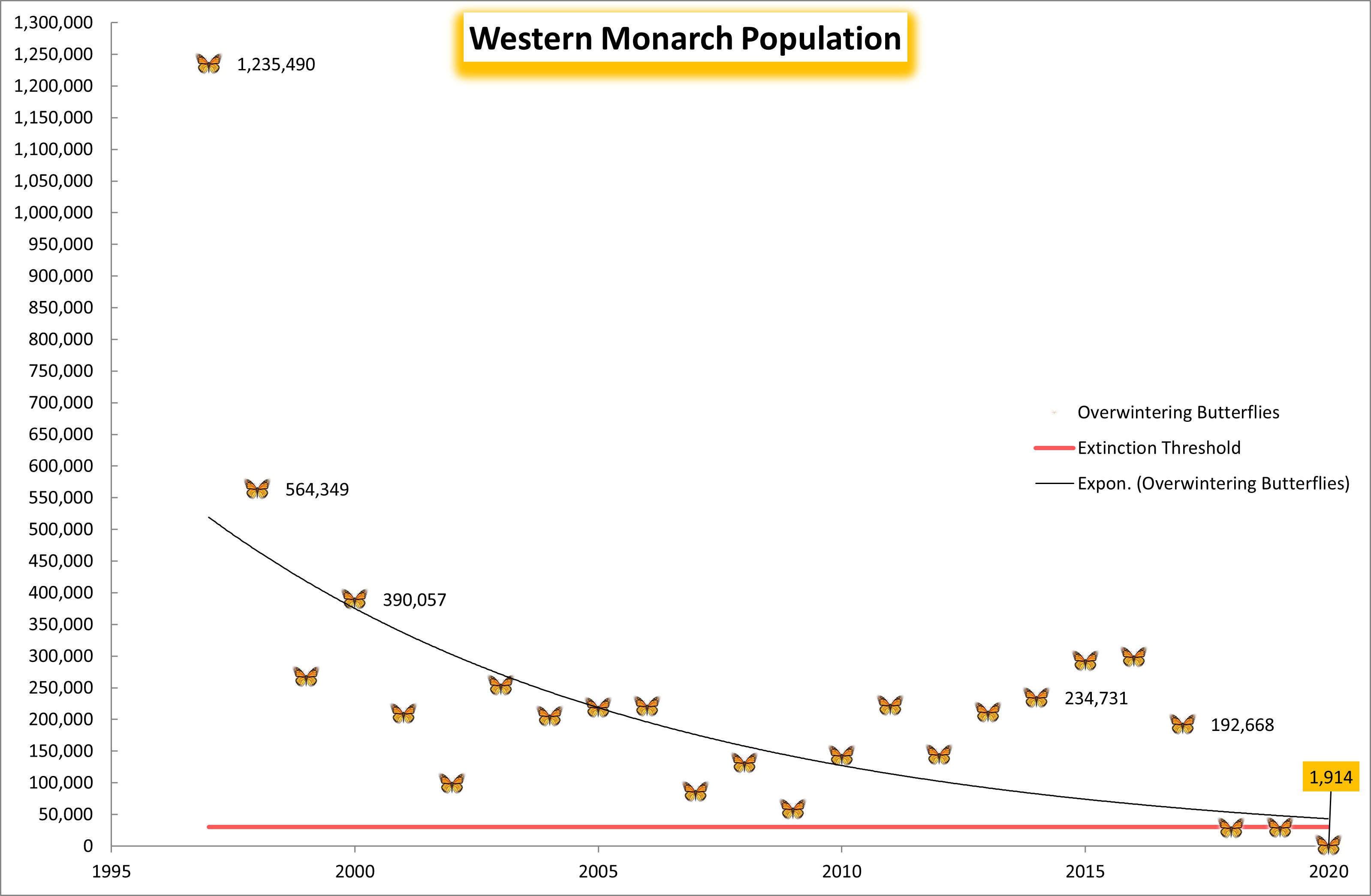 Congress Introduces Bill to Save Western Monarch