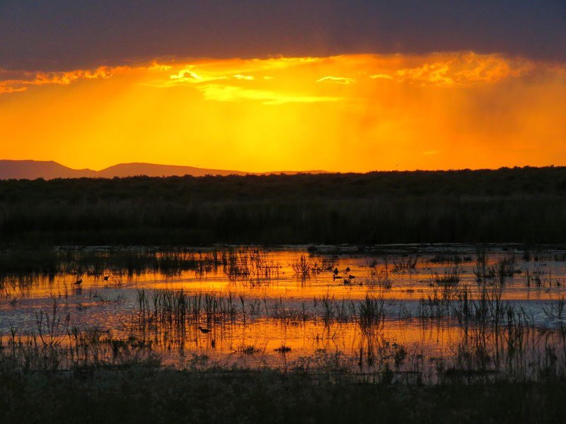 Wetlands at Stillwater National Wildlife Refuge at sunset. Photo credit, Patrick Donnelly