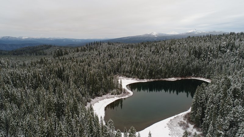 Willamette Riverkeeper - Flat Country USFS Timber Sale Willamette National Forest Oregon (2)