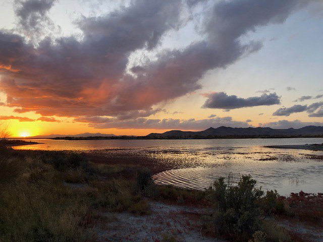 Great Salt Lake Wetlands