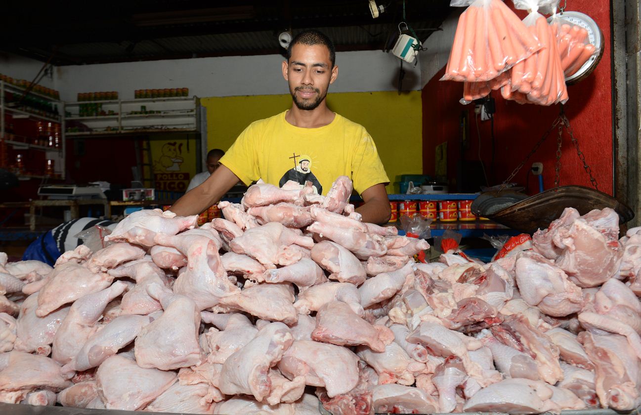 producción de pollo, Nicaragua, venta de pollo