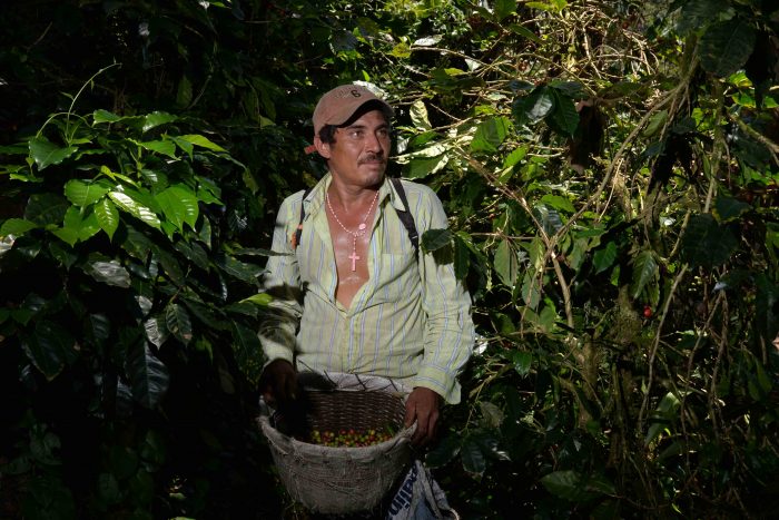 cafés especiales, café, cafeteros, Nicaragua, café de Nicaragua