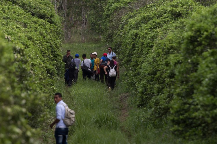 Migrantes de Nicaragua tiene como principal destino Estados Unidos. LA PRENSA/ ARCHIVO