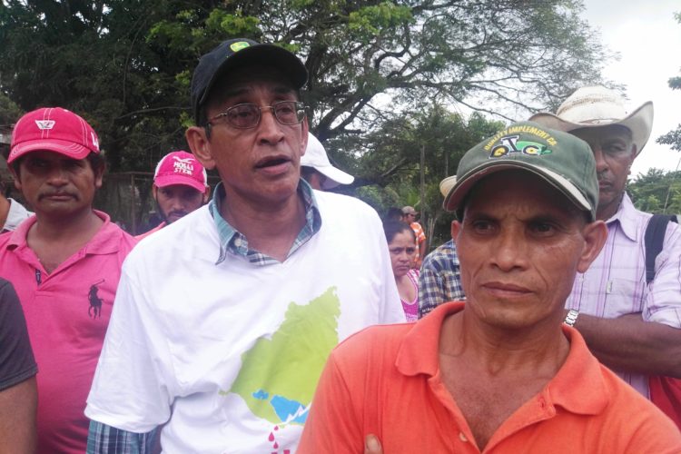 Campesinos
