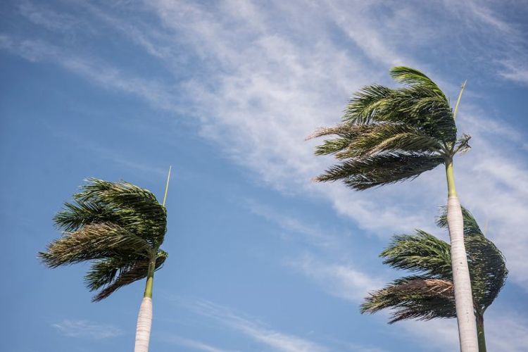 Resultado de imagen para vientos