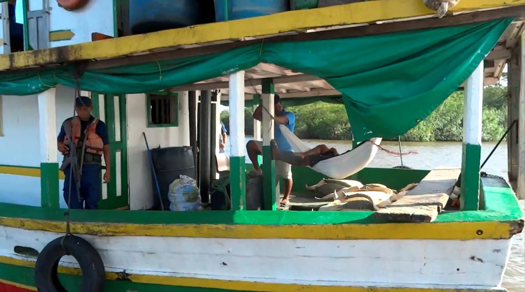 tortugas verdes, Bluefields