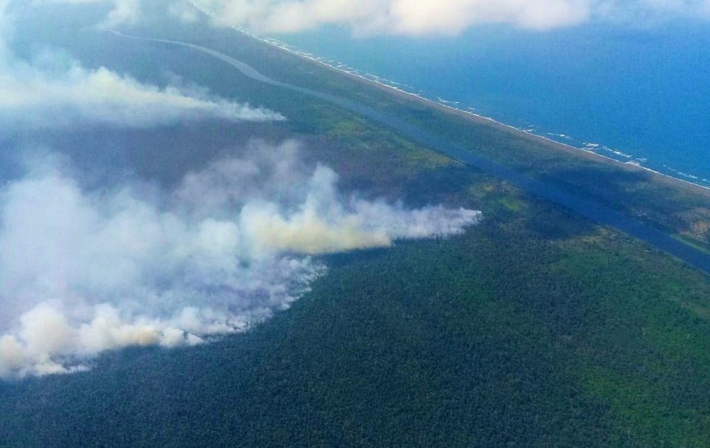 Incendio en la Reserva Indio Maíz, Indio Maíz, reserva indio maíz