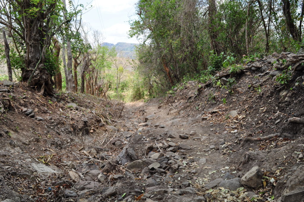 carretera