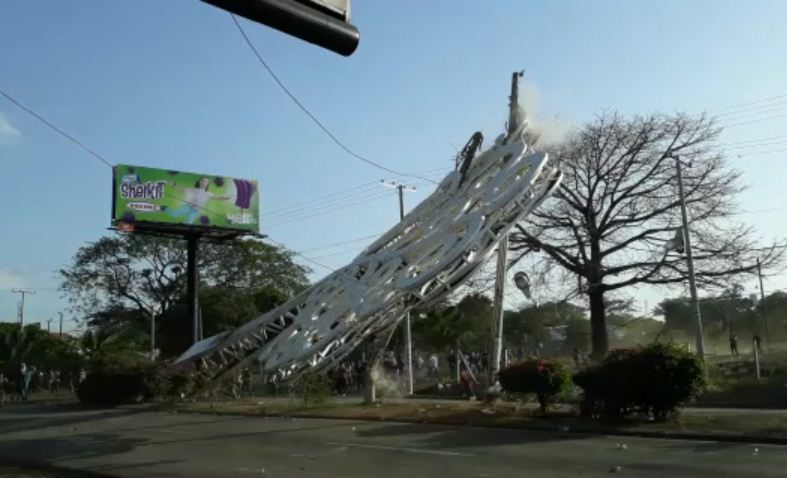 árboles de la vida, INSS