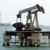 Factura petrolera crece 29.6 por ciento y pone en aprietos las reservas internacionales Factura petrolera crece 29.6 por ciento y pone en aprietos las reservas internacionales