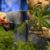 Canadá legalizará la marihuana a partir del próximo 17 de octubre Canadá legalizará la marihuana a partir del próximo 17 de octubre