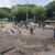 Ponen adoquines nuevos en acceso a la Unan-Managua, que está tomada por paramilitares Ponen adoquines nuevos en acceso a la Unan-Managua, que está tomada por paramilitares