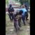 Orteguistas se mofan de los muertos en Nicaragua con el reto “el comandante se queda” Orteguistas se mofan de los muertos en Nicaragua con el reto “el comandante se queda”